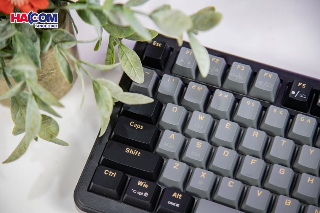 88813_ban_phim_co_gaming_edra_ek375ms_07.jpg 7