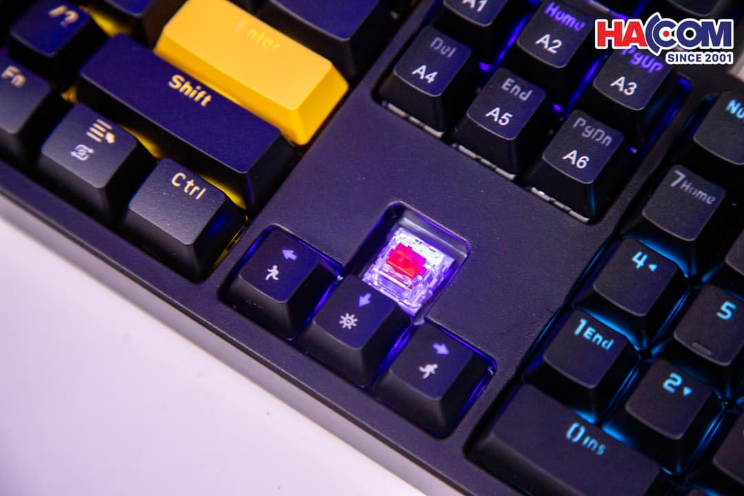 89927_ban_phim_co_gaming_co_day_edra_ek316_05.jpg 9