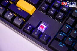 89927_ban_phim_co_gaming_co_day_edra_ek316_05.jpg 9