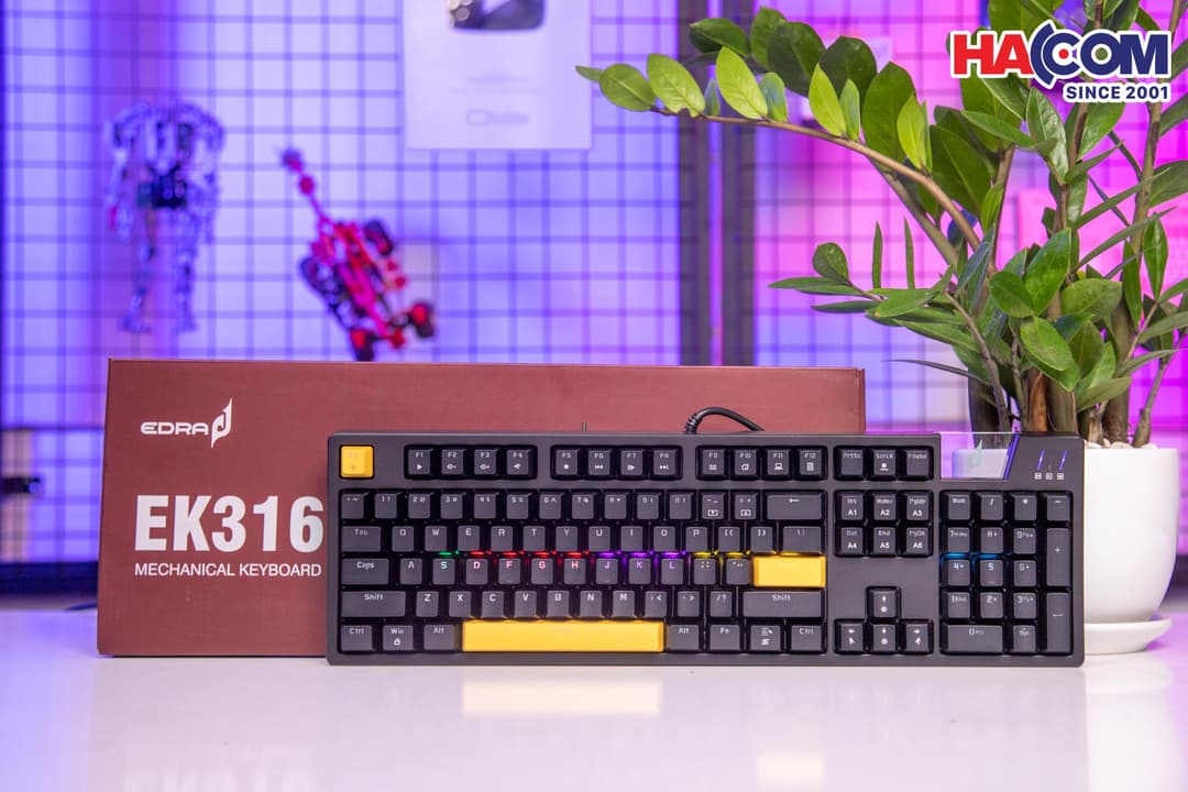 89928_ban_phim_co_gaming_co_day_edra_ek316_02.jpg 6