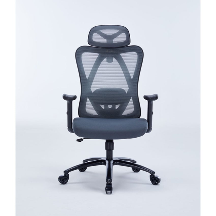 Ghế Công Thái Học WARRIOR Hero series WEC501 Plus Black/Grey