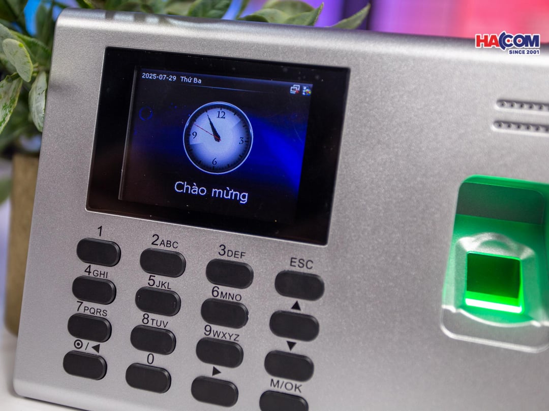 48016_img_9956.jpg 2