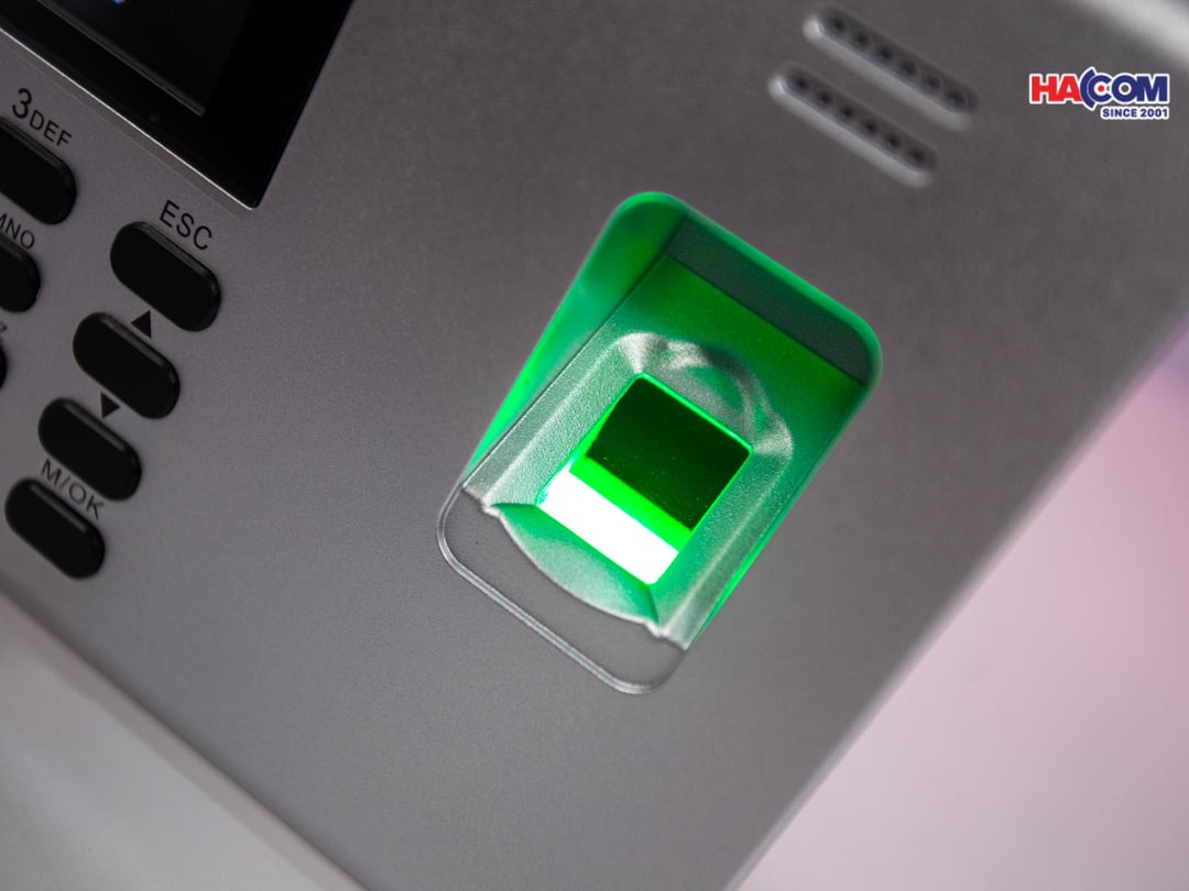 48016_img_9957.jpg 3