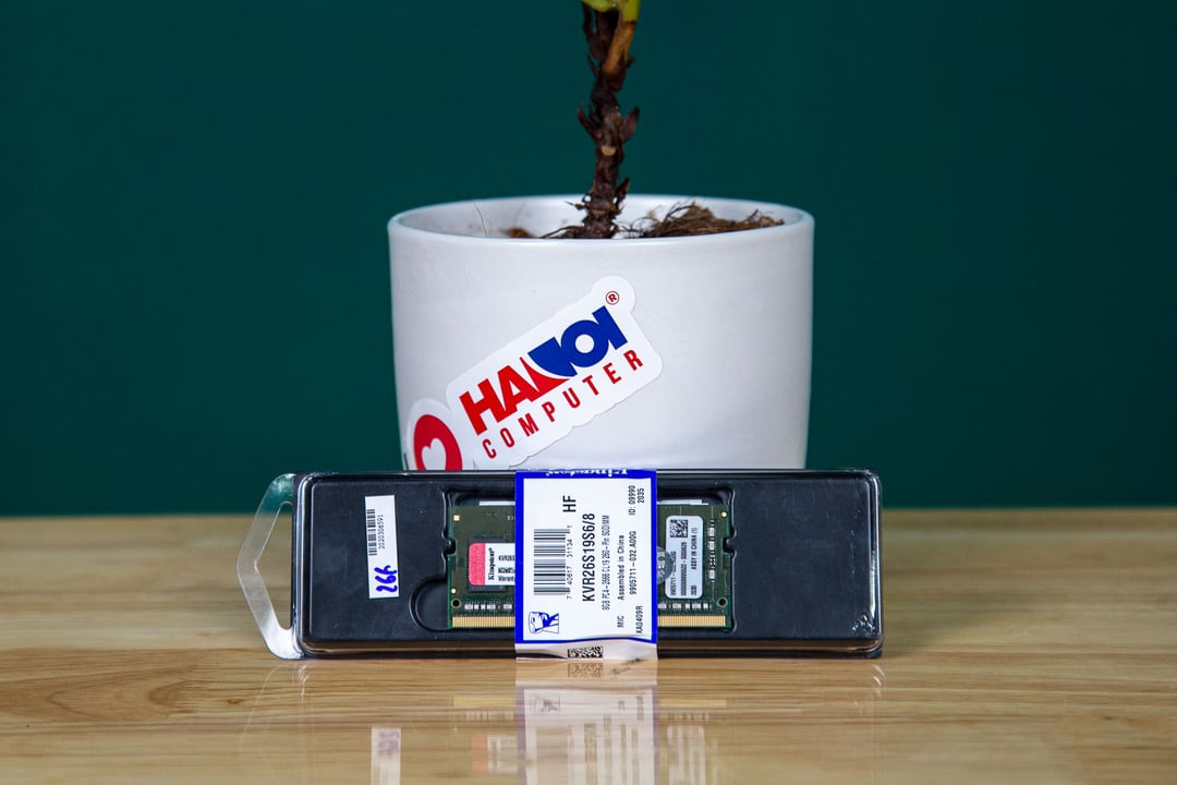 55947_ram_laptop_kingston_kvr32s22s8_16_11.jpg 1