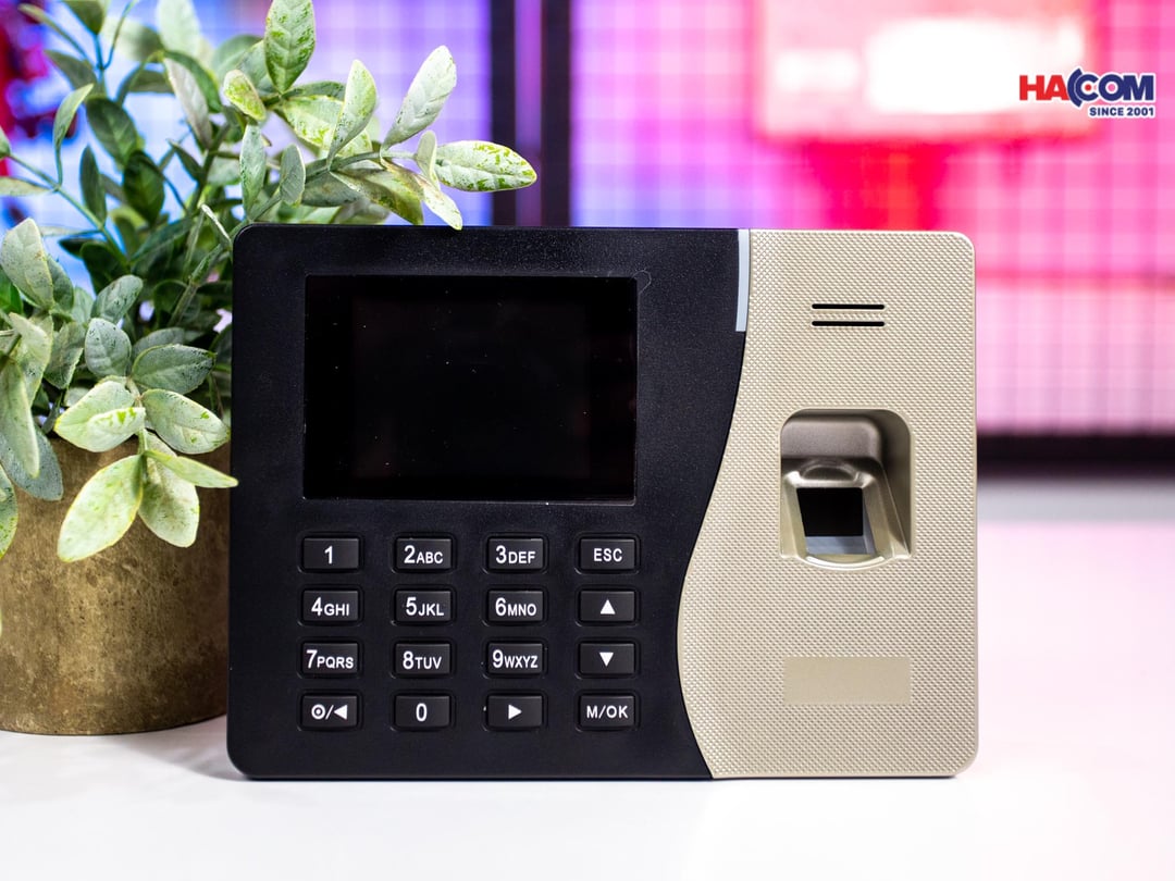 61090_img_9942.jpg 1