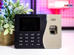 61090_img_9942.jpg 1