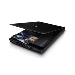 77455_may_scan_epson_v39ii.jpg 0