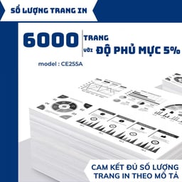 78494_hop_muc_in_tdink_ce255a_1.jpg 1