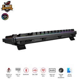 80943_rog_azoth_07.jpg 2