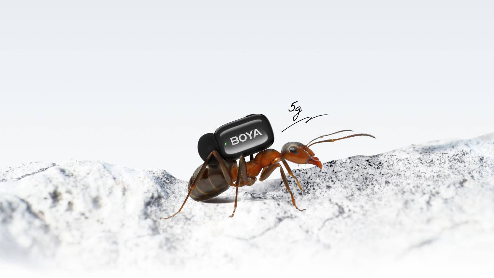 micro khong day boya mini 2 01 1