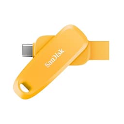USB SanDisk Dual Drive USB Type-C Flash Drive 128GB, USB3.2 Gen1 Type C / Type A (SDDDC6-128G-G46YD)