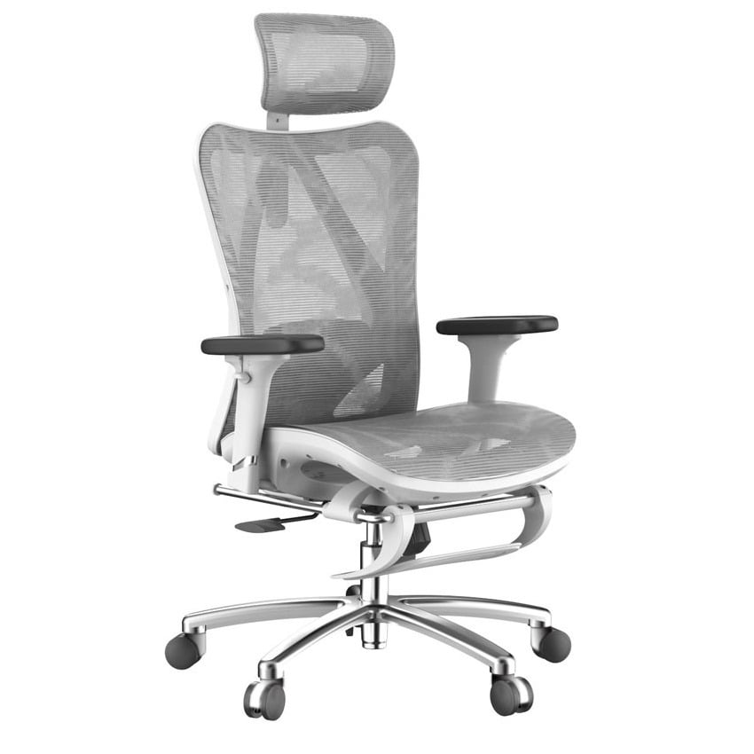 Ghế Công Thái Học Ergonomic Sihoo M57-N102 - Black Frame Grey Mesh(GHEG0974) 3