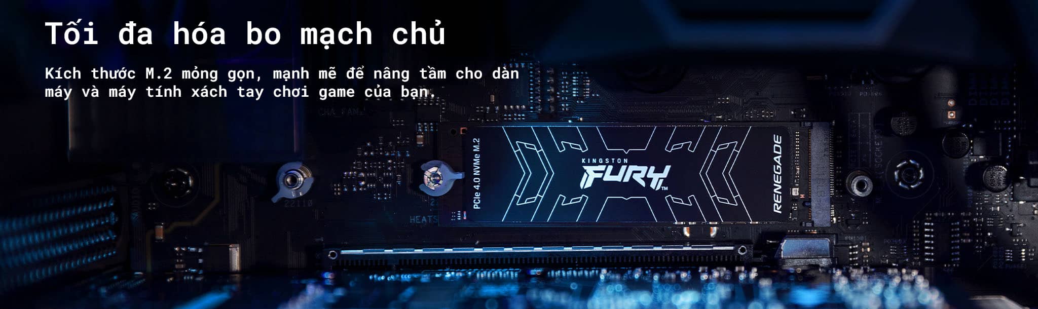 Ổ cứng SSD Kingston Fury Renegade