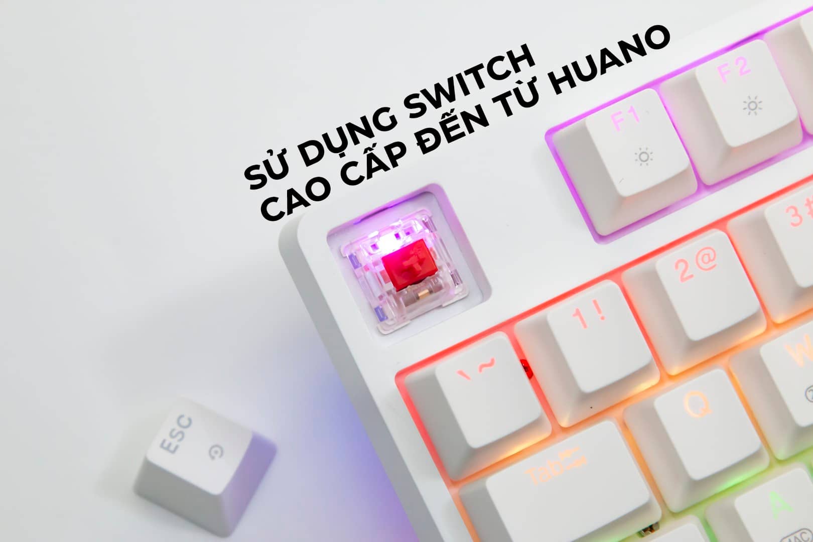 Bàn phím cơ Fuhlen D87S RGB trắng (USBC)