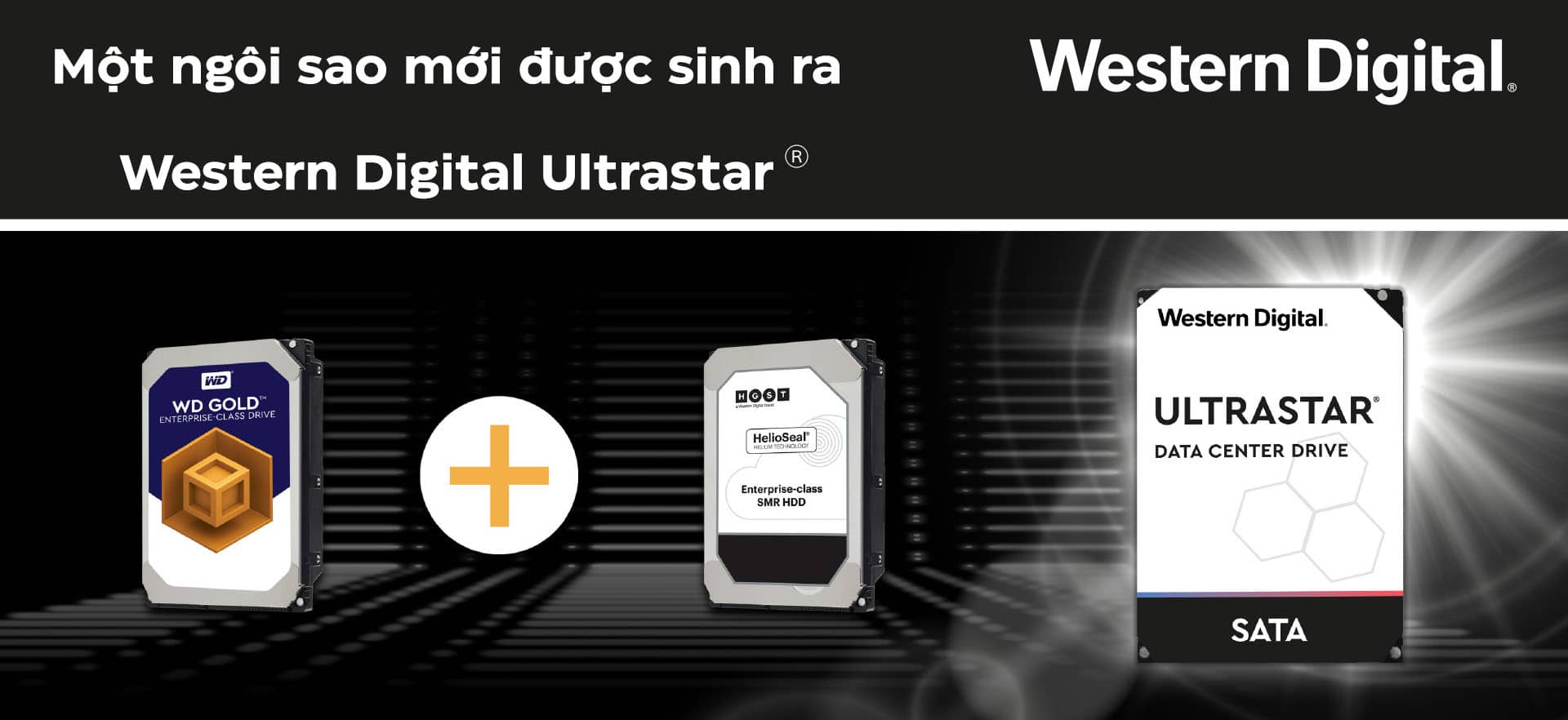 Ổ cứng HDD WD Enterprise Ultrastar DC HC520 12TB/3.5inch/7200rpm/Sata/256MB - HUH721212ALE604
