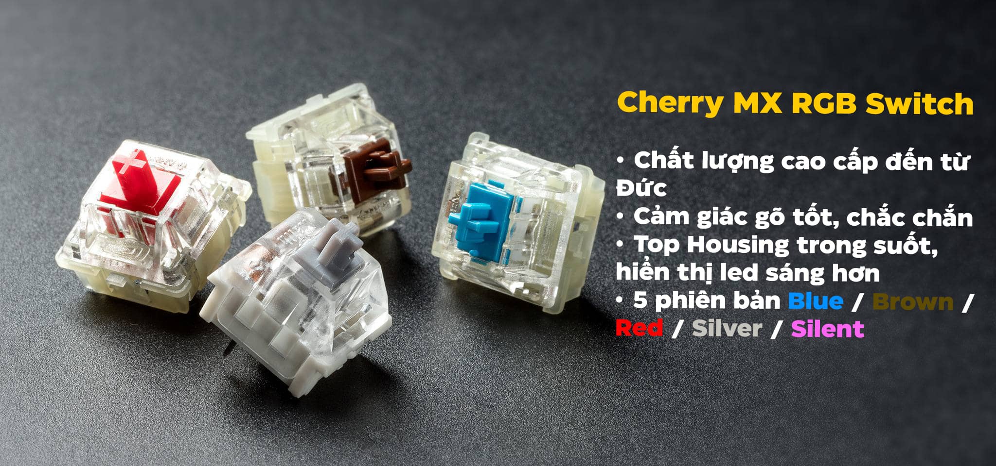 Bàn phím game Corsair K70 RGB Pro Blue sw (USB) (CH-9109411-NA) 3