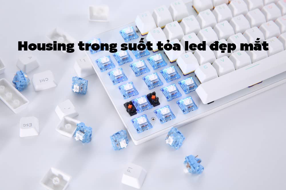 Bộ Switch bàn phím cơ DAREU - BLUE SKY V2 (45 switch)