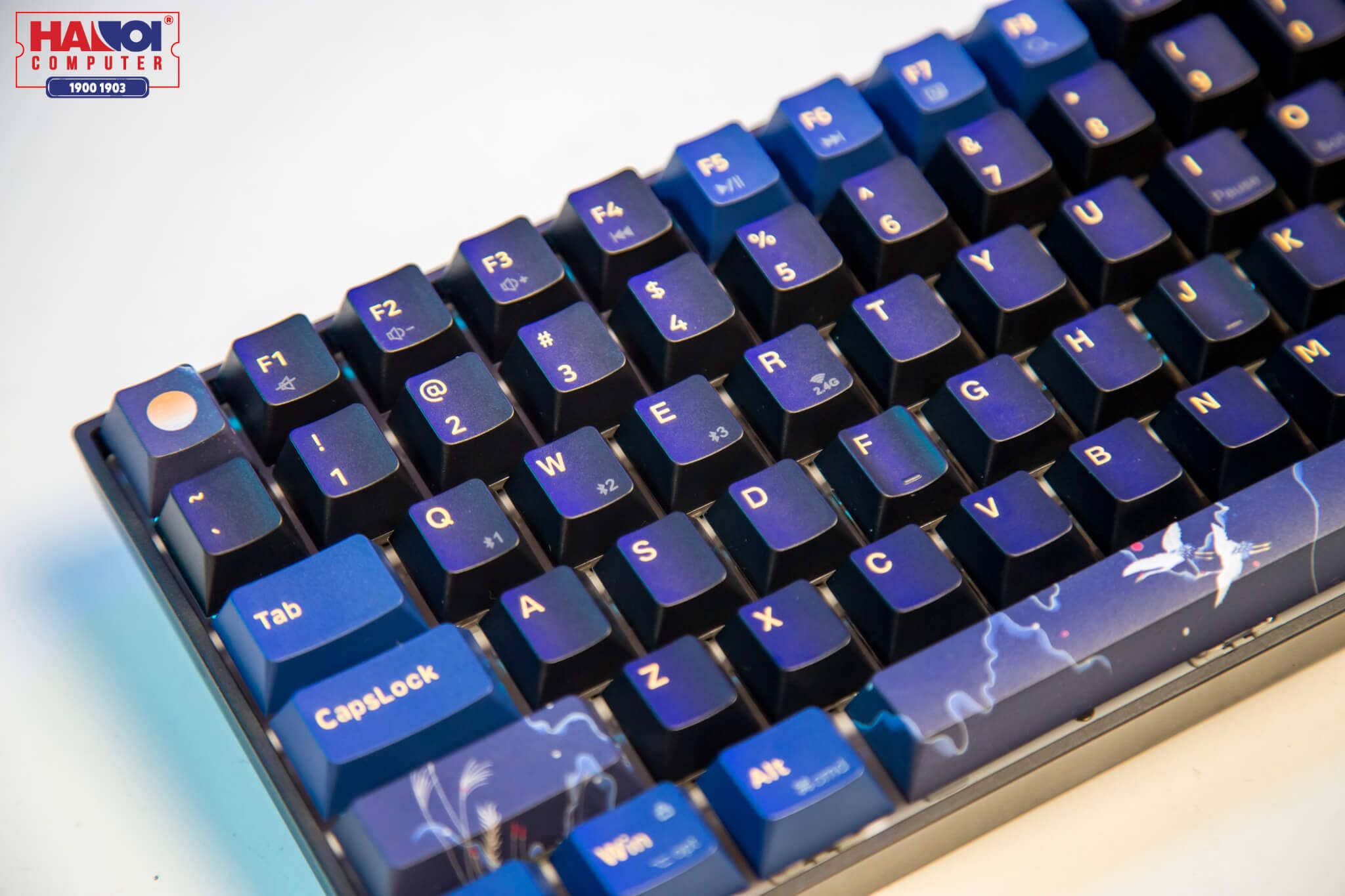 Bàn phím cơ không dây Newmen GM1000 White sw (KailhBox Axis) (USB) 5