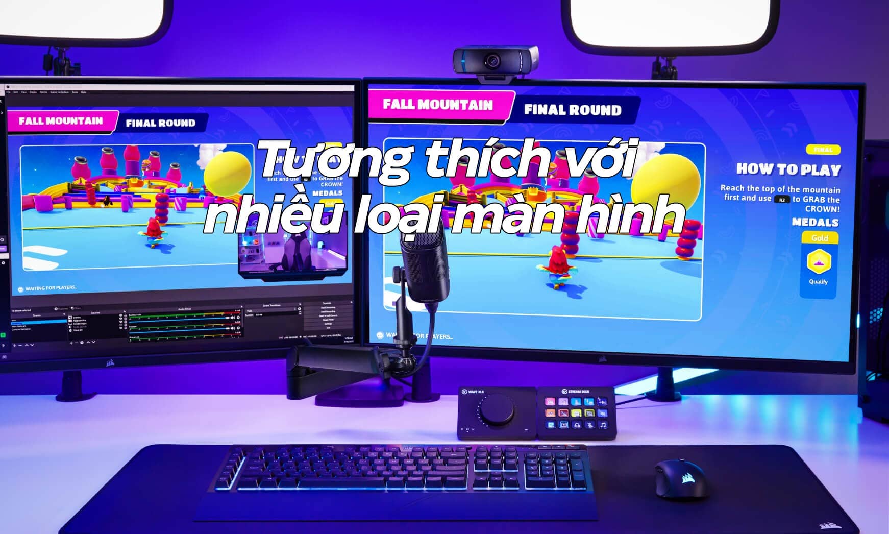 Thiết bị truyền hình ảnh Elgato Facecam Pro (10WAB9901)