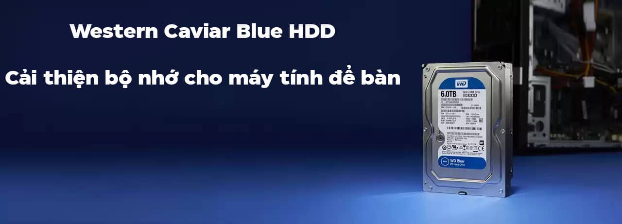 Ổ cứng HDD WD Blue 3.5 inch