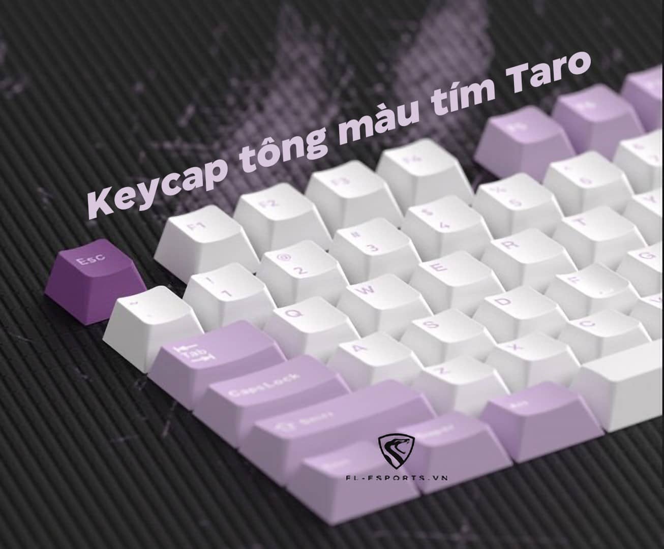 Bàn phím cơ FL-Esports GP75CPM White Body Taro Purple