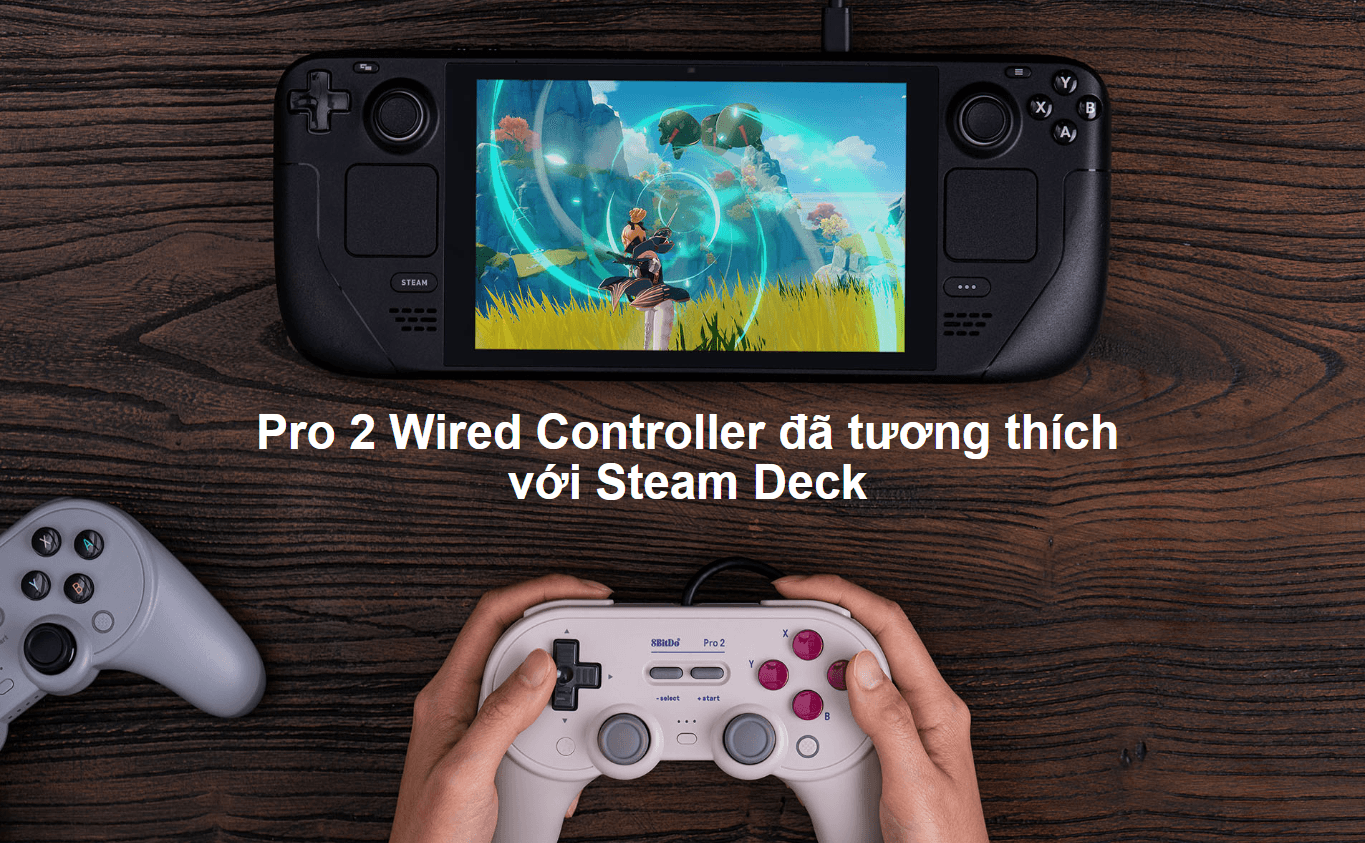 Tay cầm chơi game 8BitDo Pro 2 Wired Controller 5