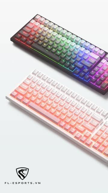 Bàn phím cơ FL-Esports FL100CPM