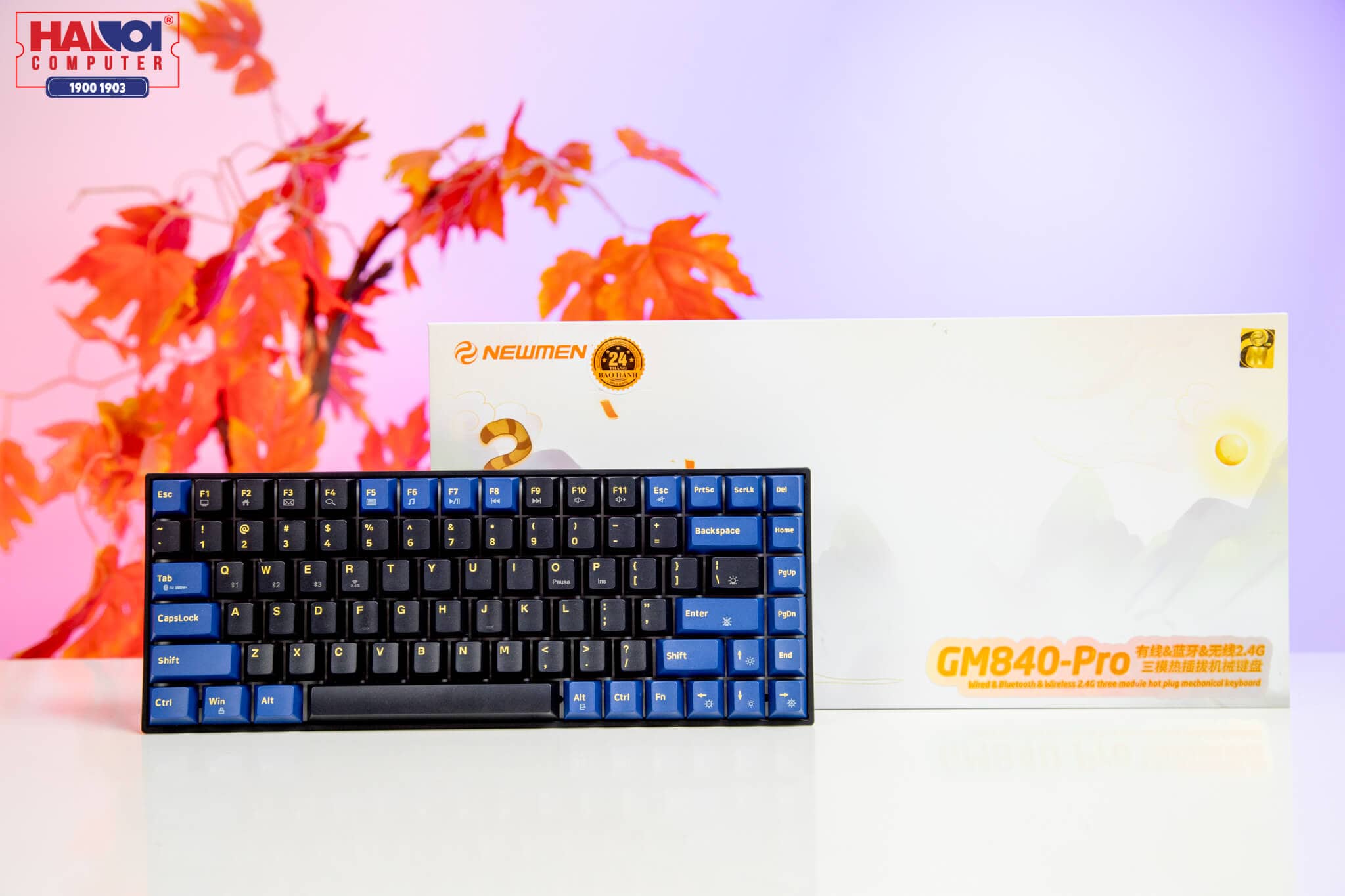 Bàn phím cơ không dây Newmen GM840 Pro Yellow sw (Gateron Pro)