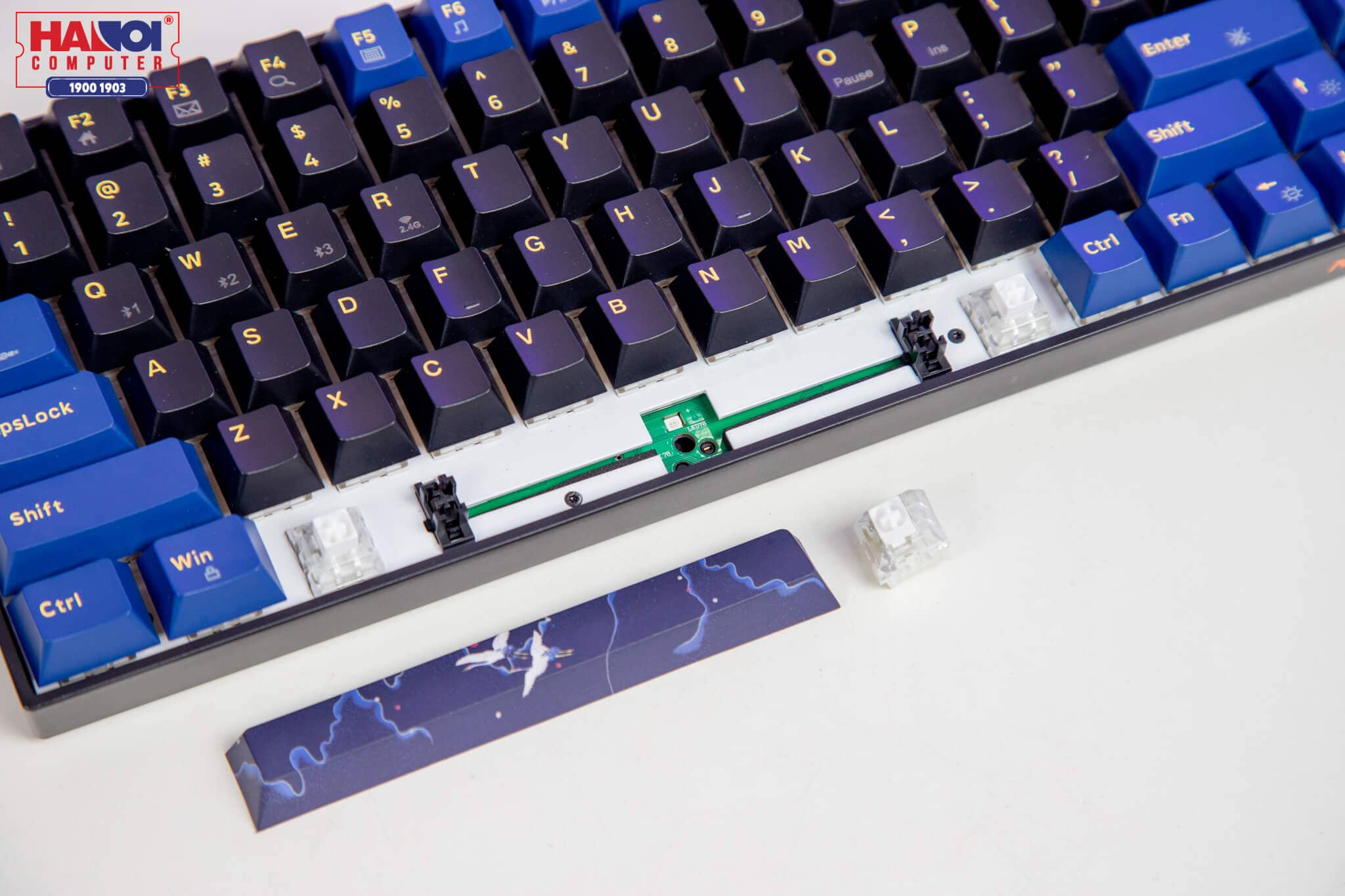 Bàn phím cơ không dây Newmen GM840 Pro Yellow sw (Gateron Pro) 4