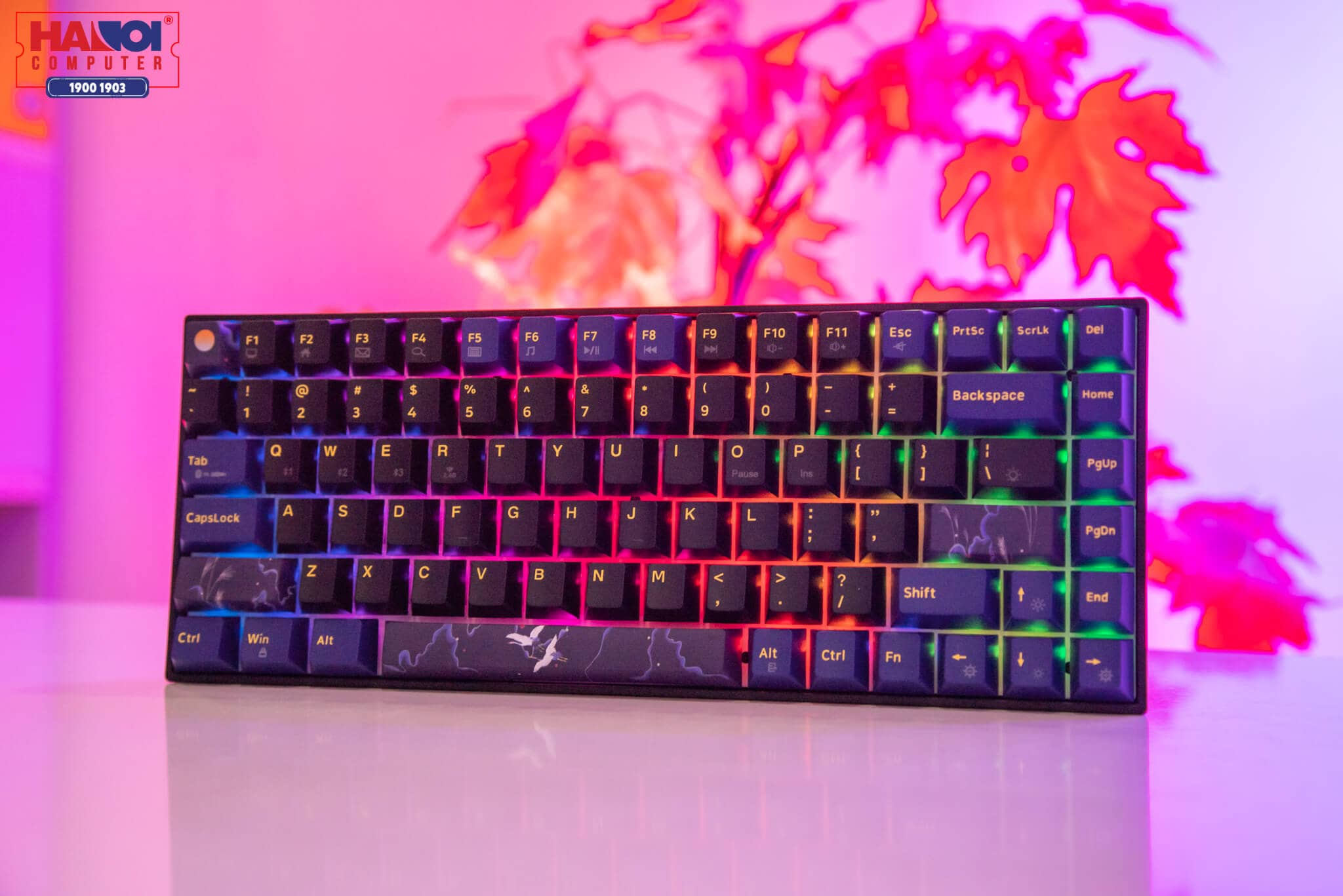 Bàn phím cơ không dây Newmen GM840 Pro White sw (KailhBox Axis) (USB) 2