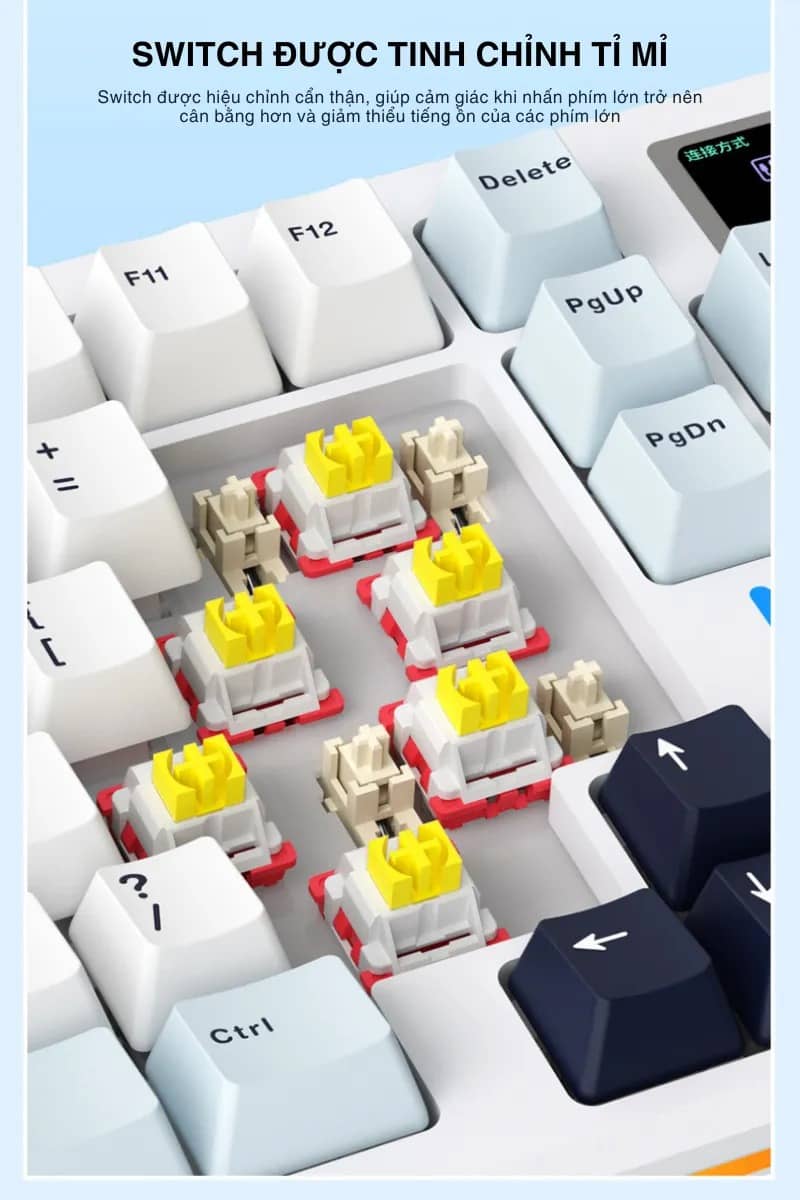 Bàn phím cơ gaming AULA S98 Pro (3 Mode/Xanh Dương+Trắng+Tím đậm/ Nimbus V3 switch) 13