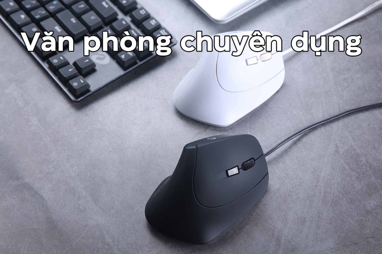 Chuột không dây Dareu LM108B