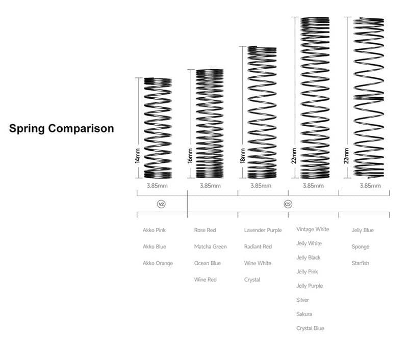 Bàn phím AKKO 3098B Multi-modes Blue on White 2