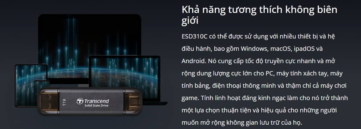 cứng di động Portable SSDTranscend ESD310C USB 3.2 Gen 2x1