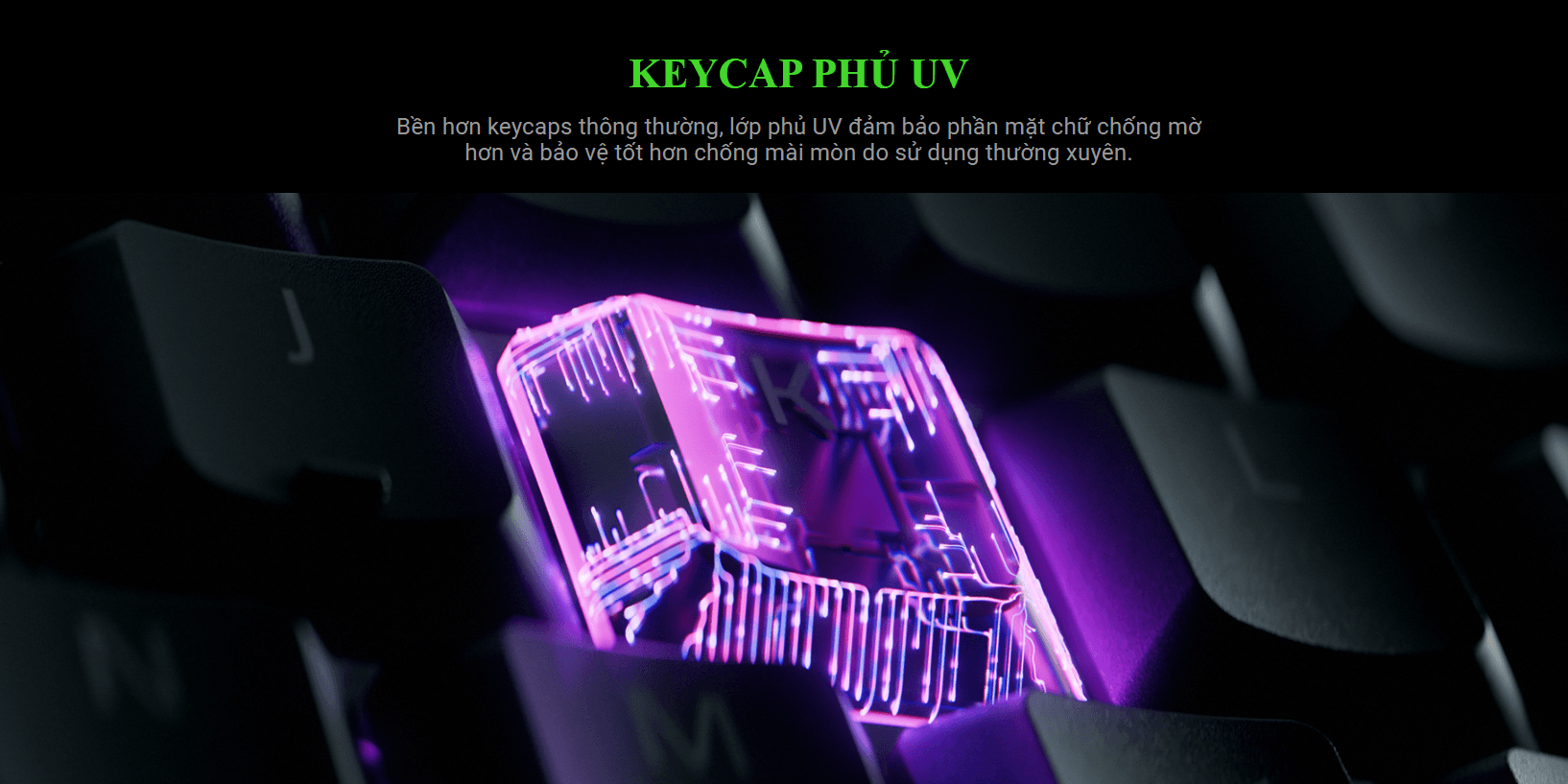 Bàn phím game Razer Ornata V3-Low Profile (USB/RGB) (RZ03-04460100-R3M1) 4