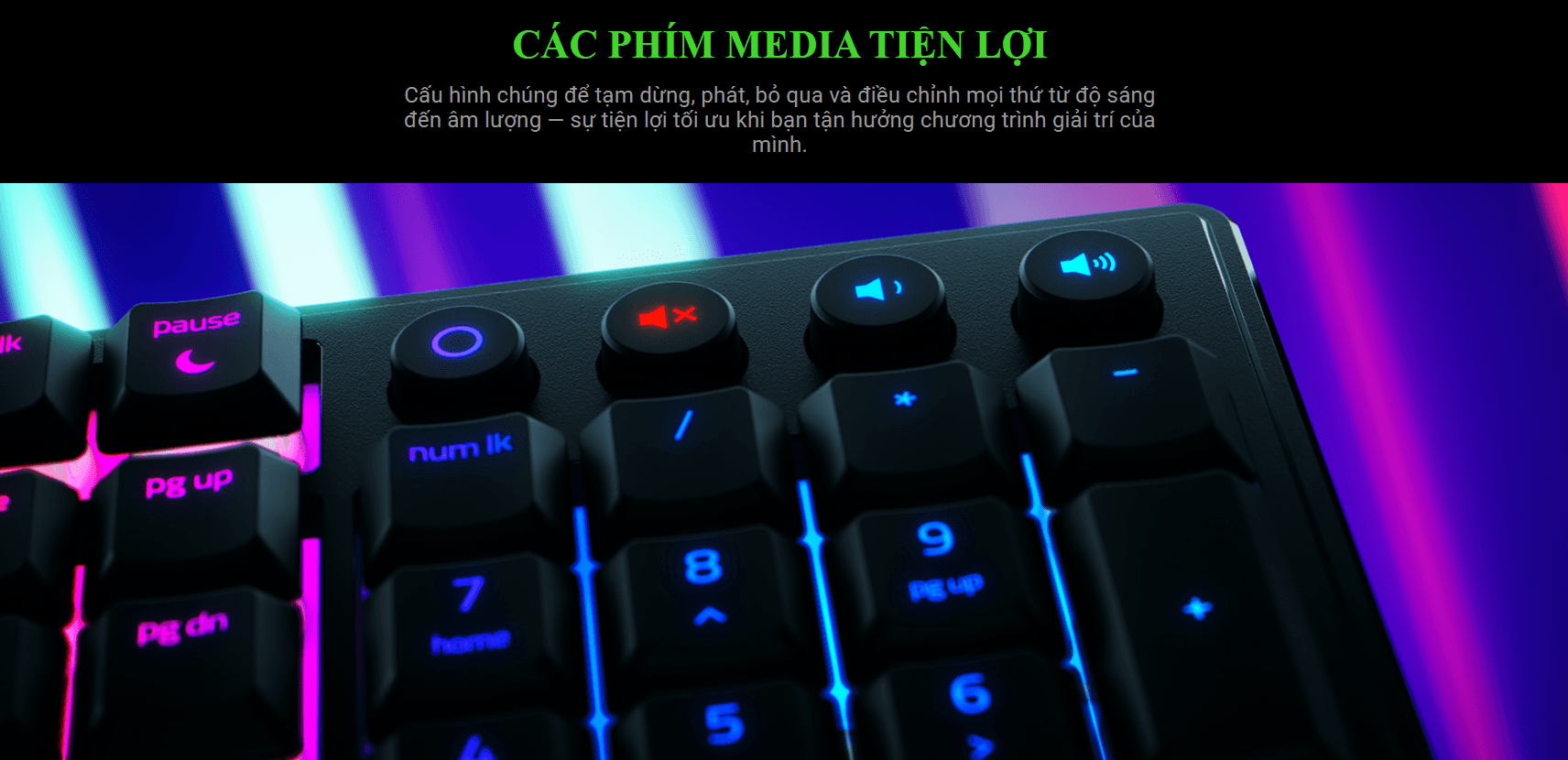 Bàn phím game Razer Ornata V3-Low Profile (USB/RGB) (RZ03-04460100-R3M1) 5