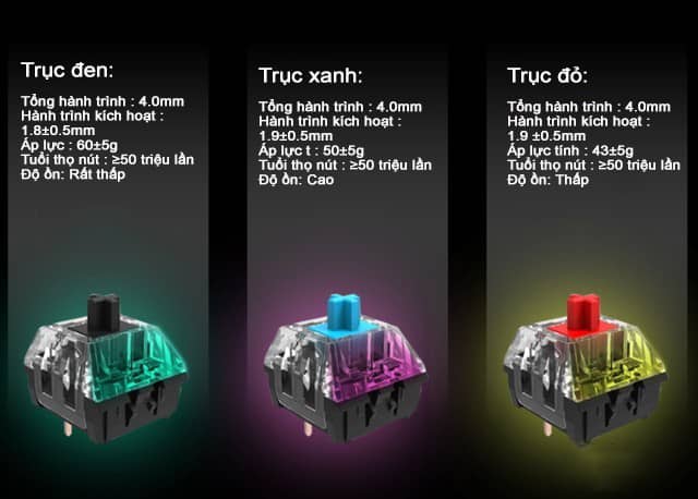 Bàn phím cơ không dây Newmen GM335 Dual Mode Black sw (USBC/RGB/Pin sạc) 3