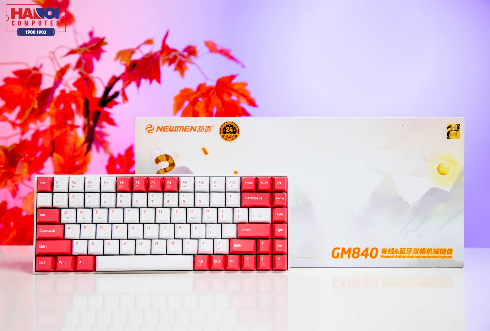 Bàn phím cơ không dây Newmen GM840 Dual Mode Red sw (USBC/Bluetooth/2000mAh/RGB/Hot swap/Outemu sw) 1