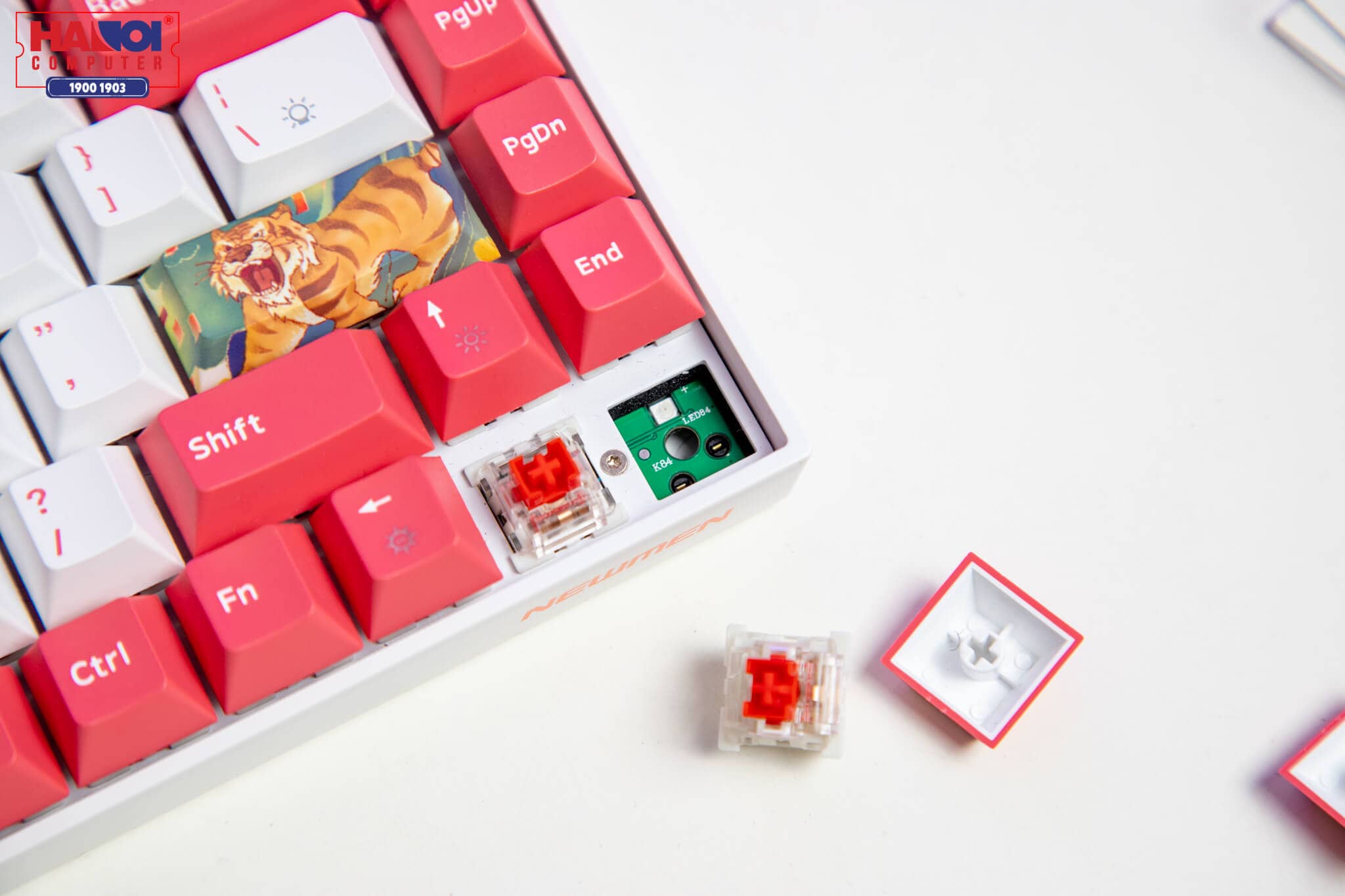 Bàn phím cơ không dây Newmen GM840 Dual Mode Red sw (USBC/Bluetooth/2000mAh/RGB/Hot swap/Outemu sw) 5