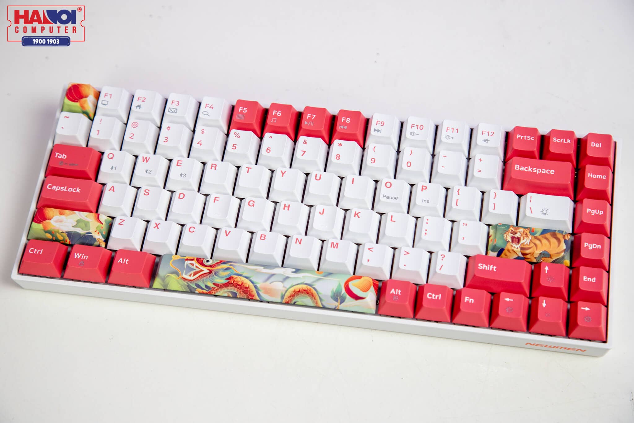 Bàn phím cơ không dây Newmen GM840 Dual Mode Red sw (USBC/Bluetooth/2000mAh/RGB/Hot swap/Outemu sw) 2