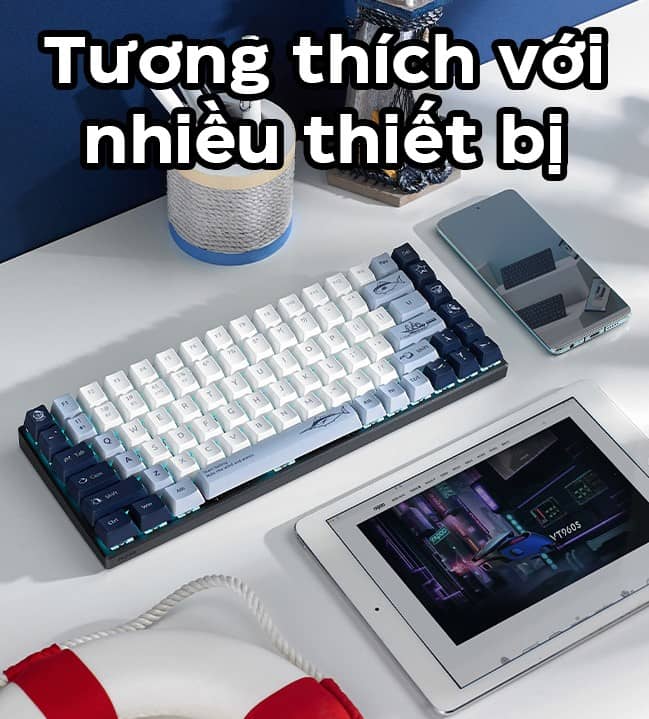 Bàn phím cơ không dây Rapoo MT510PRO Blue light (USB+ Wireless)