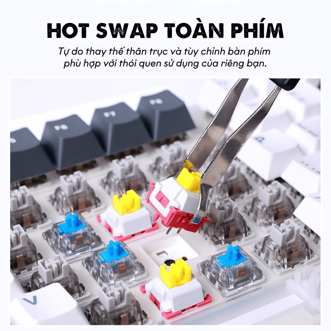 Bàn phím cơ AULA F87 3 mode Đen Trắng Xanh dương (TypeC + 2.4G + Bluetooth, Grey wood V3 switch, led RGB) 10