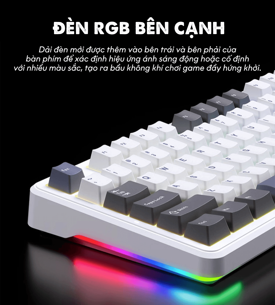Bàn phím cơ AULA F87 3 mode Đen Trắng Xanh lá (TypeC + 2.4G + Bluetooth, Grey wood V3 switch, led RGB) 14