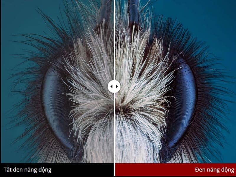 Máy chiếu ViewSonic X1000 ảnh 5