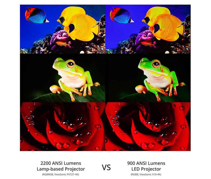 Máy chiếu ViewSonic X1000 ảnh 7