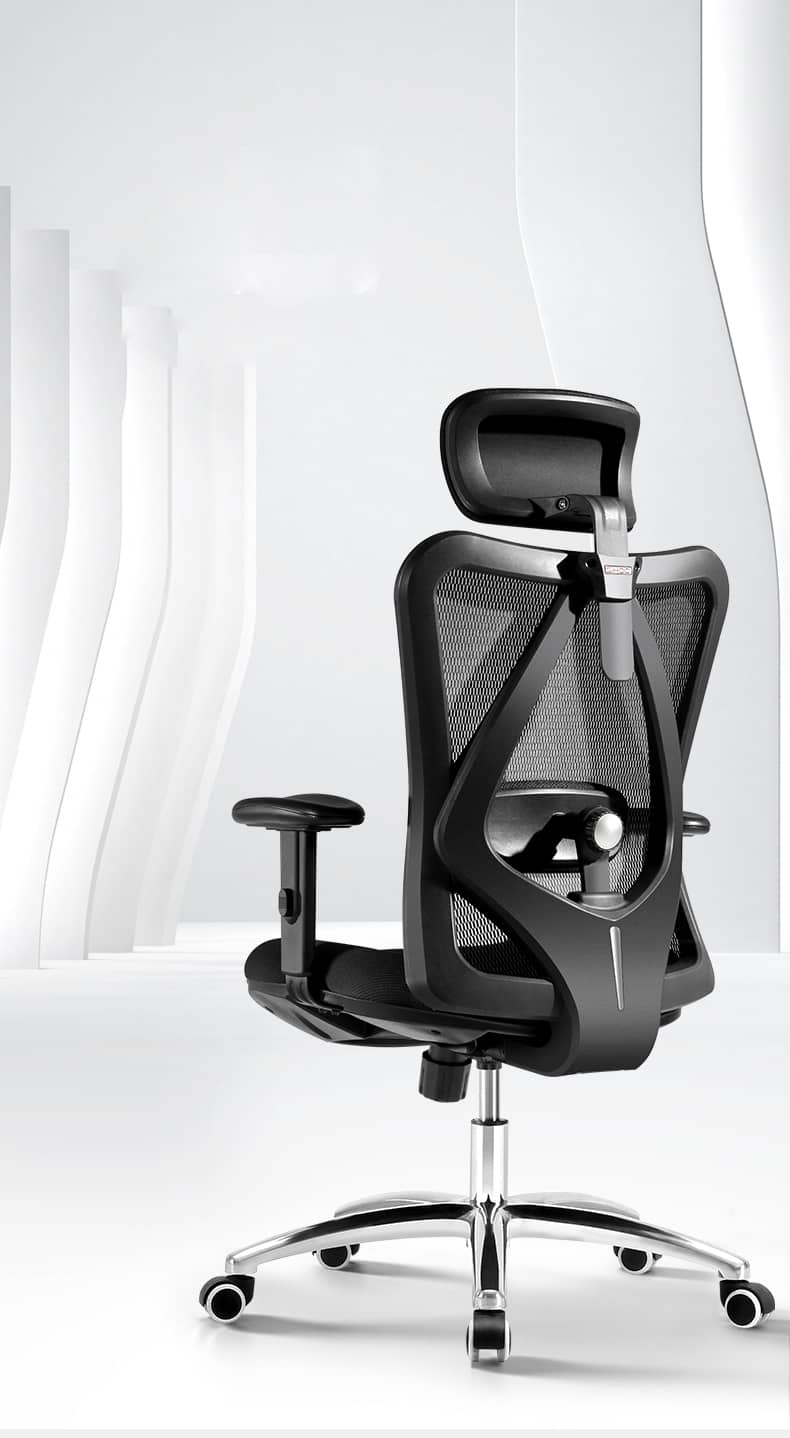 Ghế Công Thái Học Ergonomic Sihoo M18-N102 Black 1