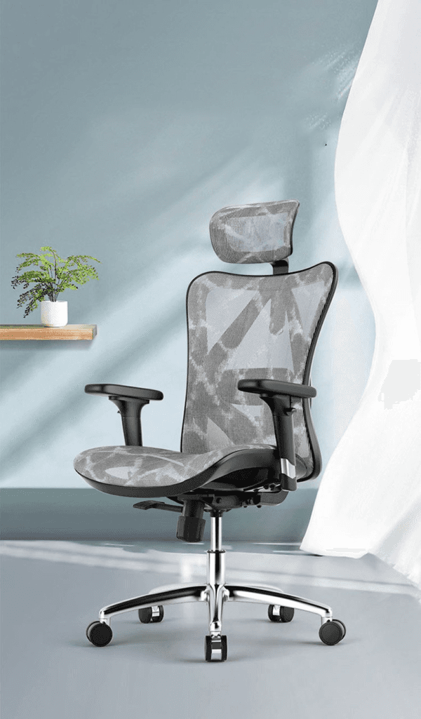 Ghế Công Thái Học Ergonomic Sihoo M57-N101 - Black Frame-Black Mesh 1