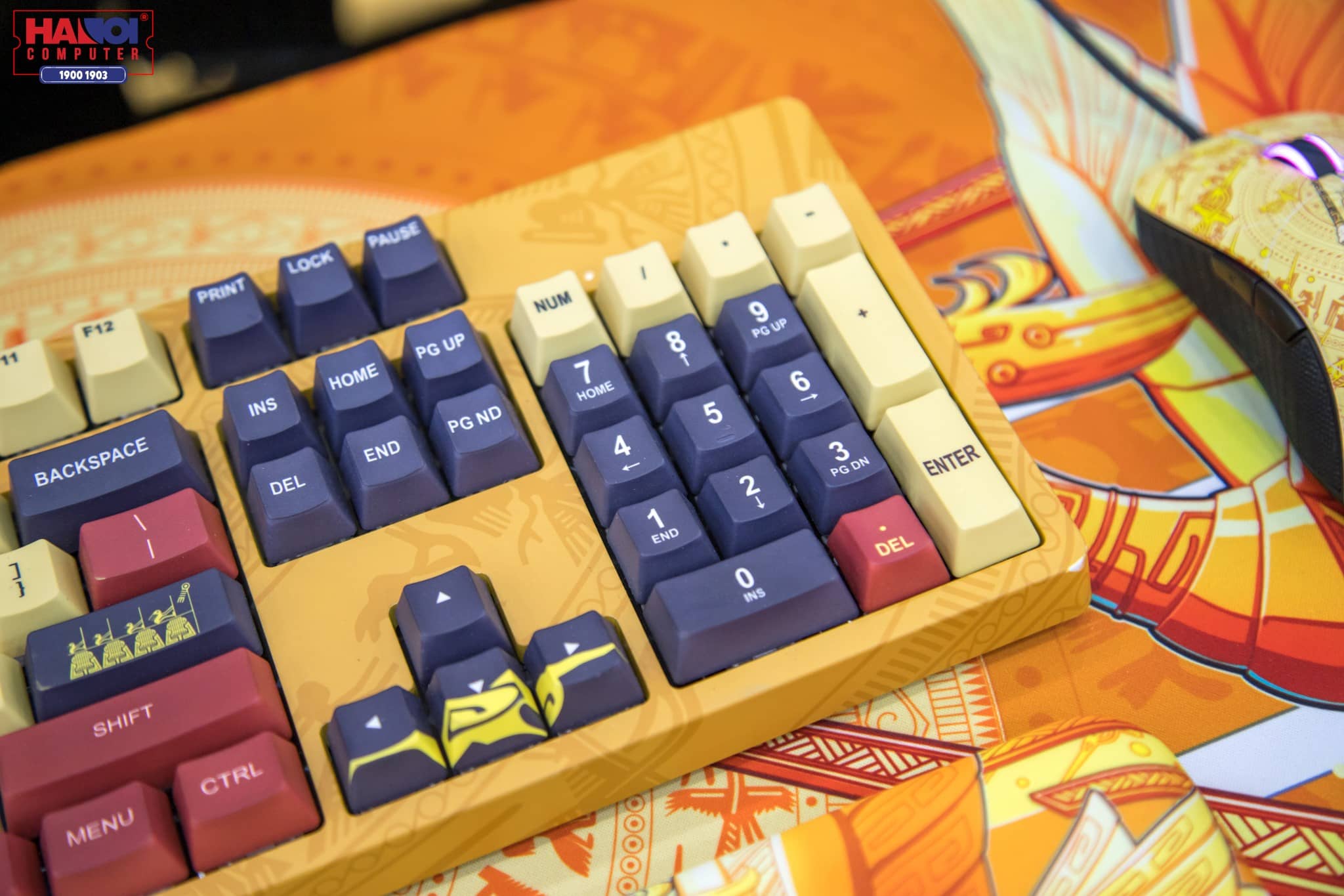 Bàn phím cơ Edra EK3104 Lạc Hồng White Led Yellow sw (USBC/Gateron) 3