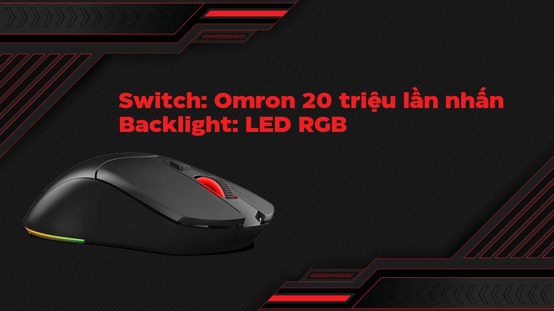 Chuột Gaming không dây Edra EM623W Đen (USB/Bluetooth/RGB/Omron switch)