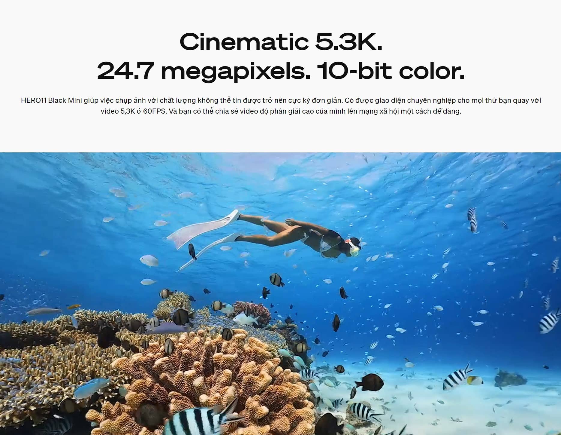 Camera hành động GoPro Hero 11 Mini